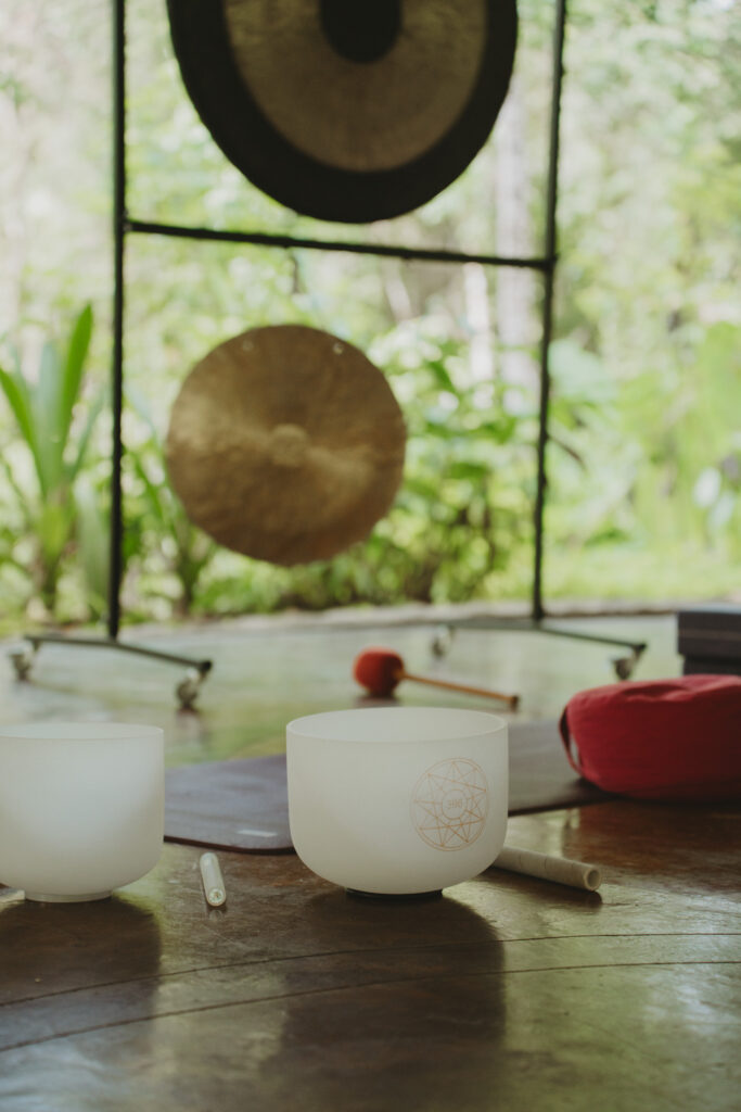 A serene indoor scene featuring two singing bowls and a mallet on a wooden floor. Behind them, a large gong is visible, with lush greenery outside the window, creating a calming ambiance.