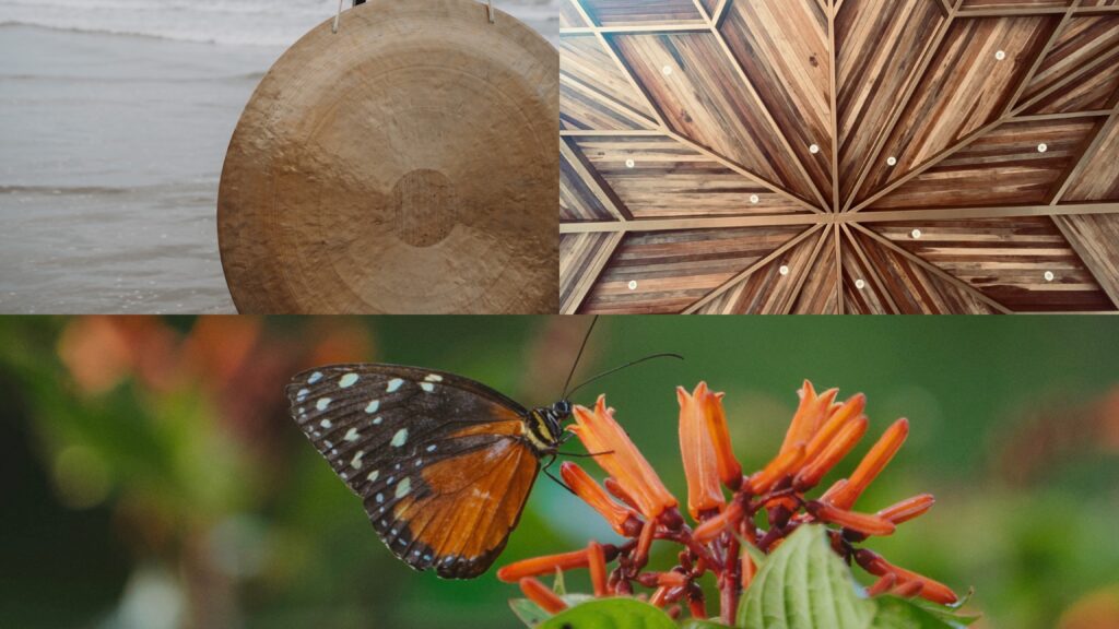 A collage of three images: a wooden gong near water, a geometric wooden ceiling with lights, and a close-up of an orange and black butterfly on bright orange flowers.